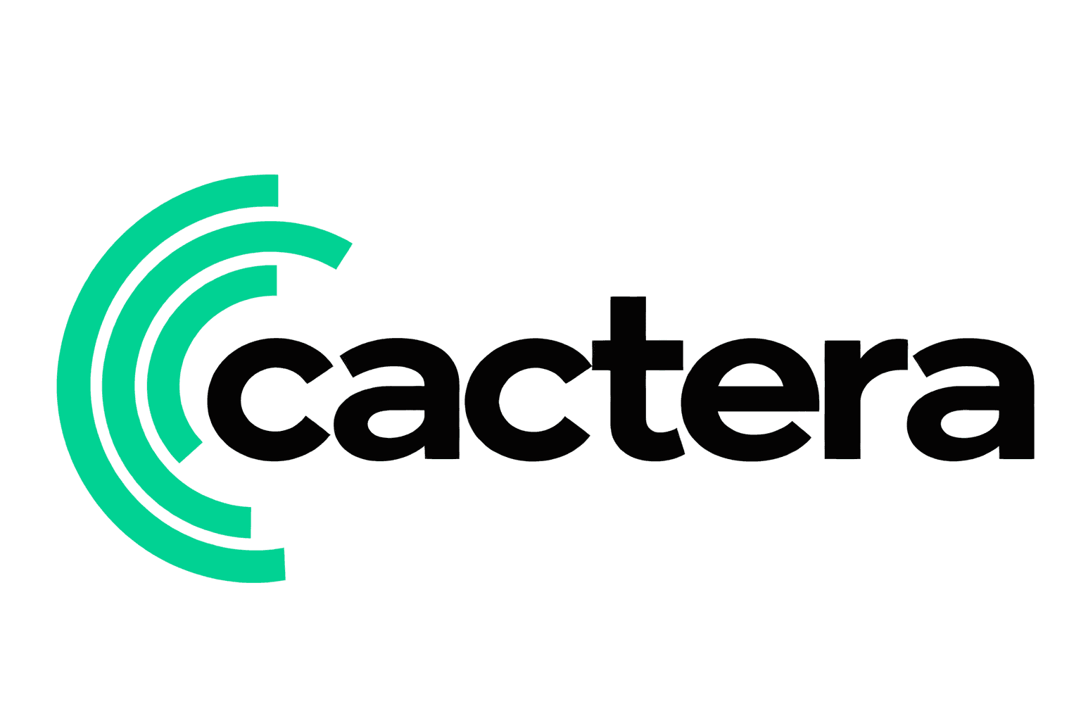 Cactera Security